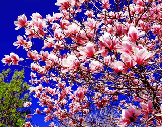 En forme pour l'arrivée du printemps