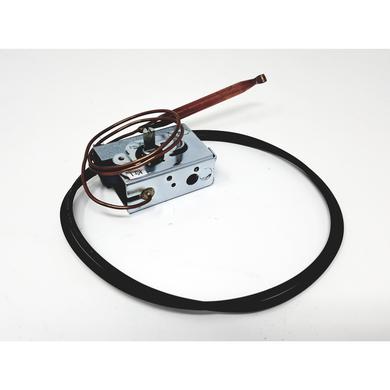 03005036 - Thermostat