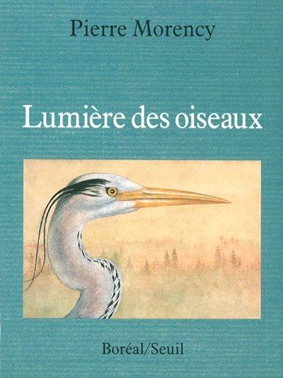 Lumière des oiseaux